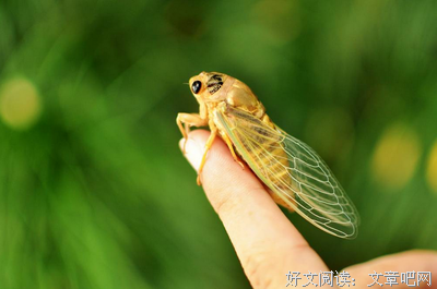 最新的于正名言名句