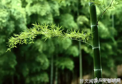 最新的以冬名言