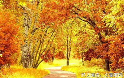 心若平安则世界平安