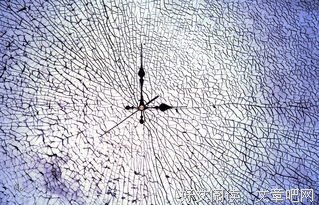 关于午歌的名句