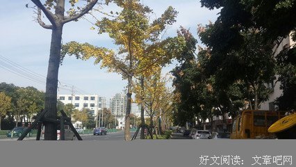 叶笑名言