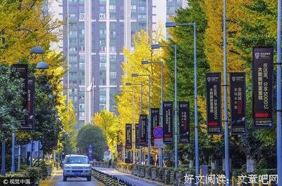 最全的叶迷的名言