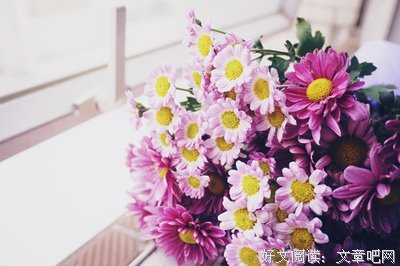 最新的《大爱与智慧爱》经典语句大全