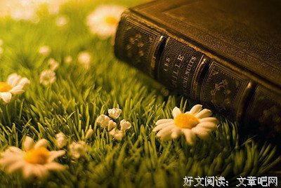 最经典的《微信公众账号：火锅情》语录摘抄大全