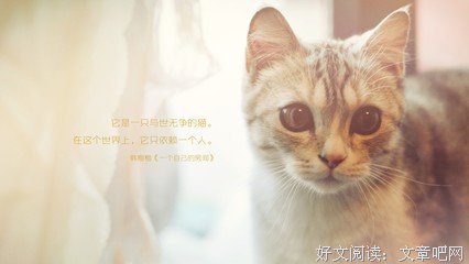 《圭恰迪尼格言集》名句欣赏