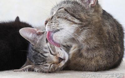 《深渊上的火》语录摘抄