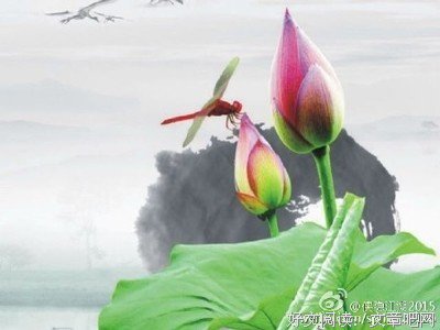 最经典的《侠隐》经典语录大全