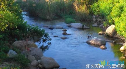关于润物无声的名句摘抄