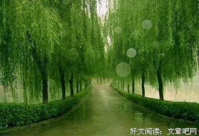 描写司空见惯的语句摘抄