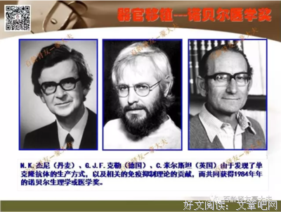 有关诺贝尔的美文美句摘抄