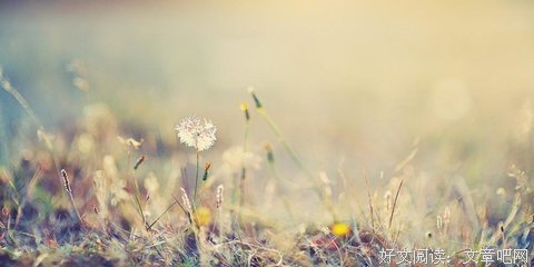《佳句收录》的句子