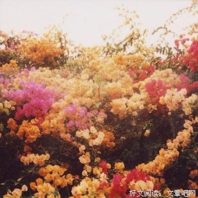 关于自那种那家些年的心动的句子