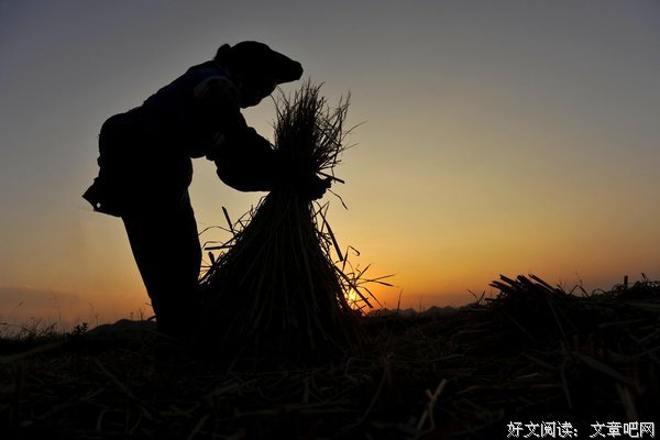 最新的穆旦名言大全