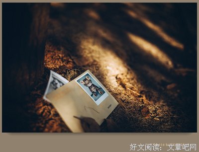 最新的空梦名言大全