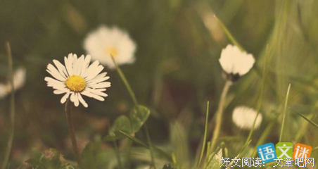 关于洛夫名言