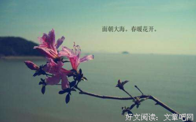 关于海子精彩语录