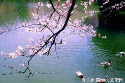 燕子15句经典名言