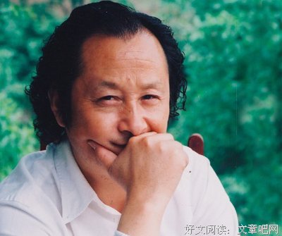 王蒙的名言