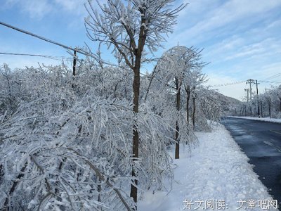 2018王路的名句