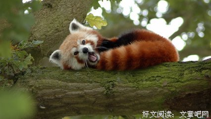 最新的《告白》小说摘抄