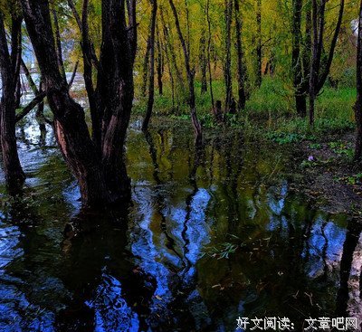 最新的《圆舞》好段摘抄