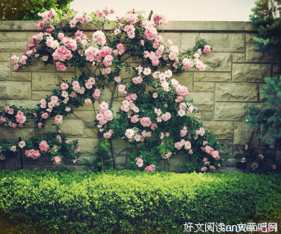 最新的《推拿》佳句摘抄大全