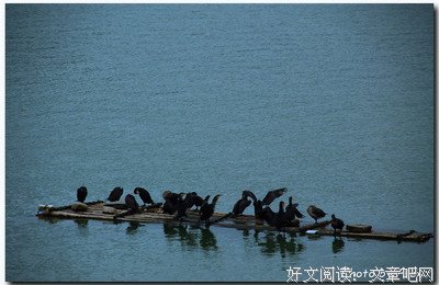 最全的《故乡》小说摘抄大全