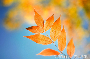 最全的《无题》经典语句大全