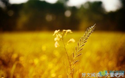 最经典的《春逝》经典的句子大全