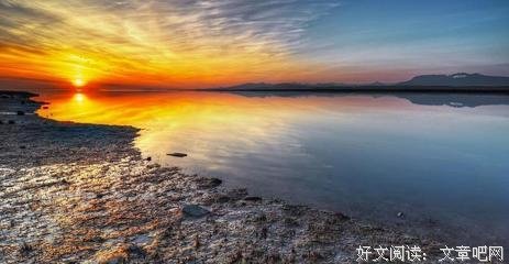 最新的《活着》经典句子