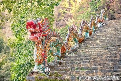 最全的《眼睛》经典名句