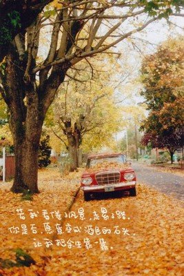 最全的《荼蘼》经典句子