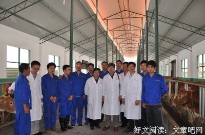描写宋文的经典句子