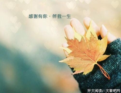关于百媚生的唯美语录