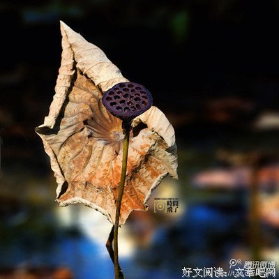 闲言碎语