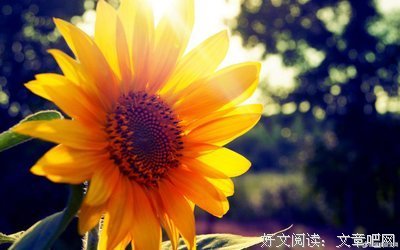 叫就得苦。的优美句子