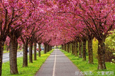 心坎下可的以不到句子