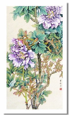 最全的韦娜经典句子