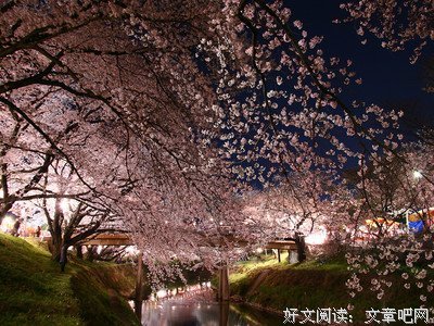 2018虹影经典名句