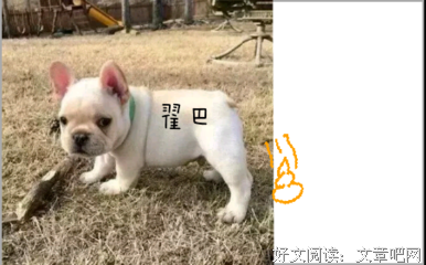 关于雪儿名言名句