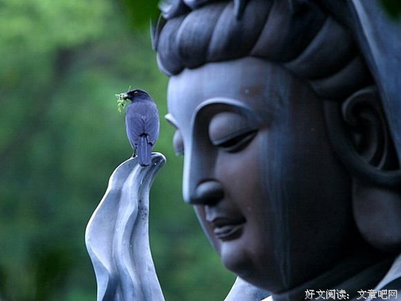 最经典的《蝉女》经典语句