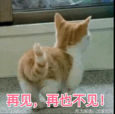 这次再见，就是再也不见了