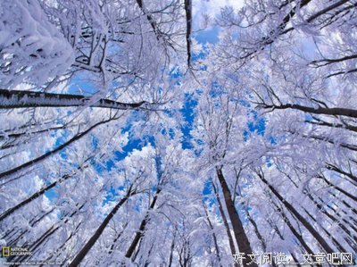 最经典的《不再见》名句欣赏大全