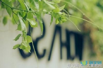 最经典的《半生缘》语录摘抄