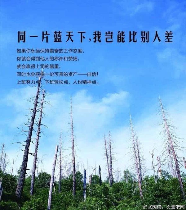 最新的《品句子》语录摘抄