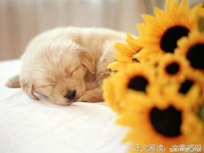 最经典的《大冒险》好段摘抄大全