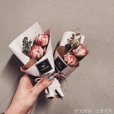 最新的《情舟记》经典语句