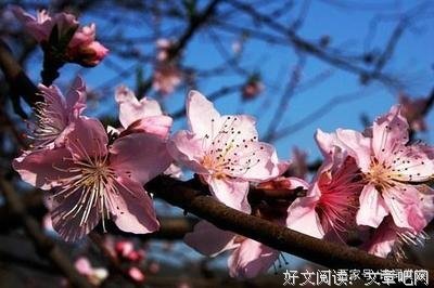 有关微雨燕双的美句摘抄