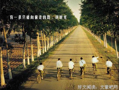 夜华君的语句摘抄_关于夜华君的语句