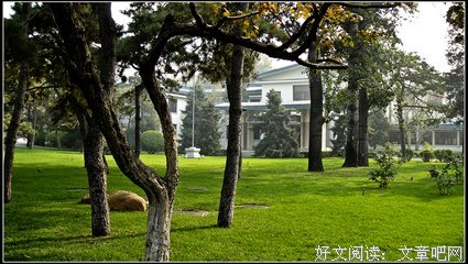 如欣的句子